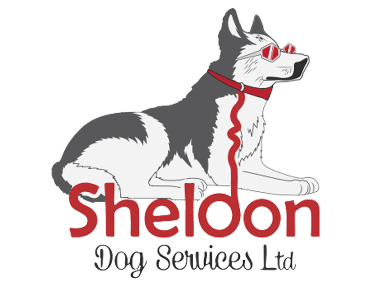 Sheldon Dog Services | Contact Us