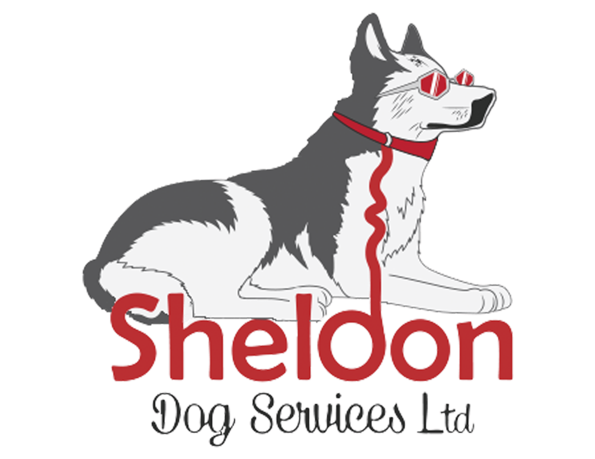 Sheldon Dog Services Dog Retail Pet Shop