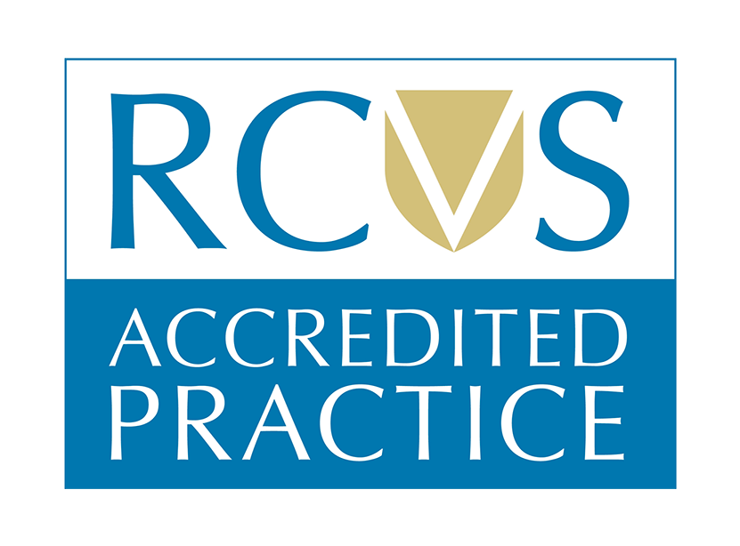 RCVS Accredited