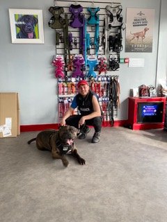 Shane at Sheldon Dog Services after a training session